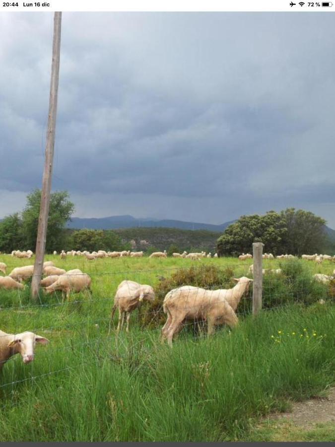 Vistas A La Montana En Un Pueblo Con Encanto. El Pueyo de Araguás Eksteriør billede