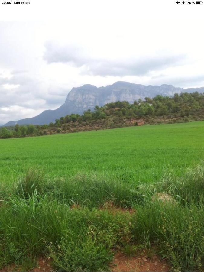 Vistas A La Montana En Un Pueblo Con Encanto. El Pueyo de Araguás Eksteriør billede
