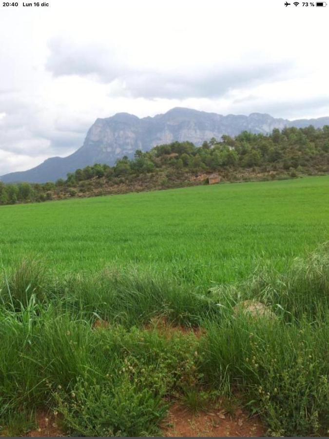 Vistas A La Montana En Un Pueblo Con Encanto. El Pueyo de Araguás Eksteriør billede