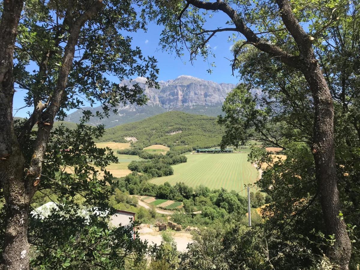 Vistas A La Montana En Un Pueblo Con Encanto. El Pueyo de Araguás Eksteriør billede