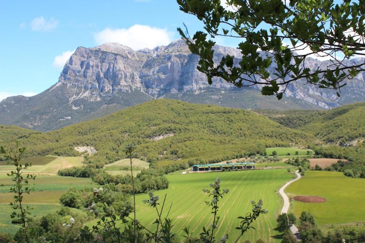 Vistas A La Montana En Un Pueblo Con Encanto. El Pueyo de Araguás Eksteriør billede