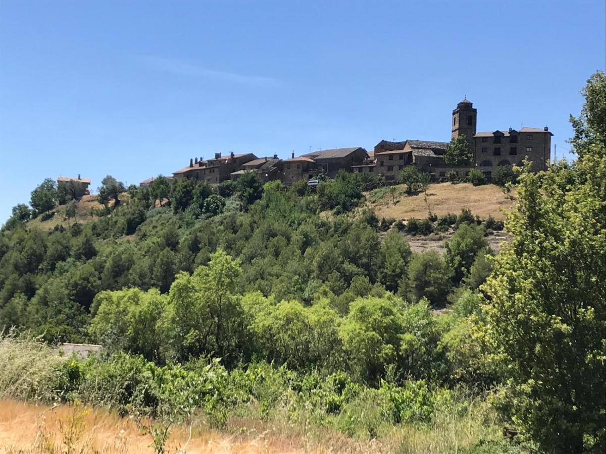 Vistas A La Montana En Un Pueblo Con Encanto. El Pueyo de Araguás Eksteriør billede